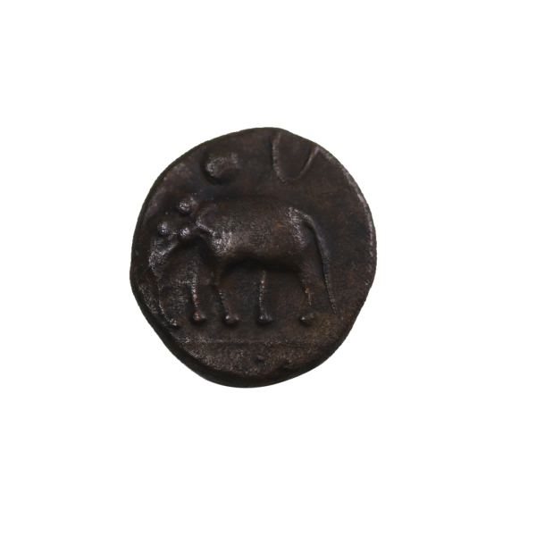 Mysore Elephant Coin