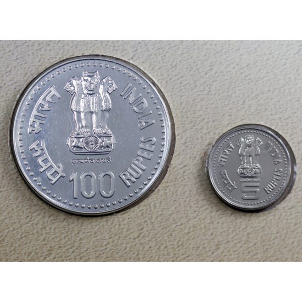 Sreenarayanaguru Set Of 100 Rupees