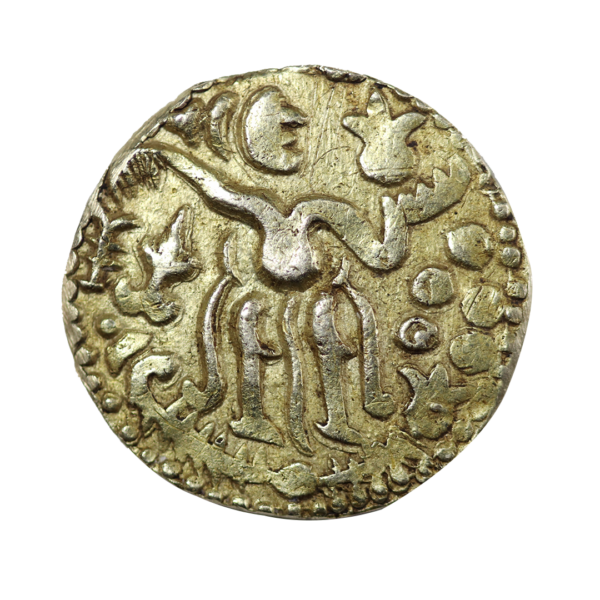 Ceylon Chola Lankaveera Coin