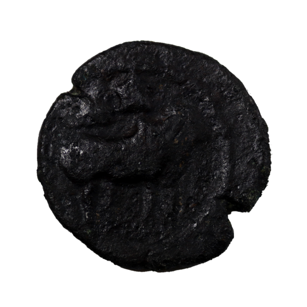 Pallava Coin