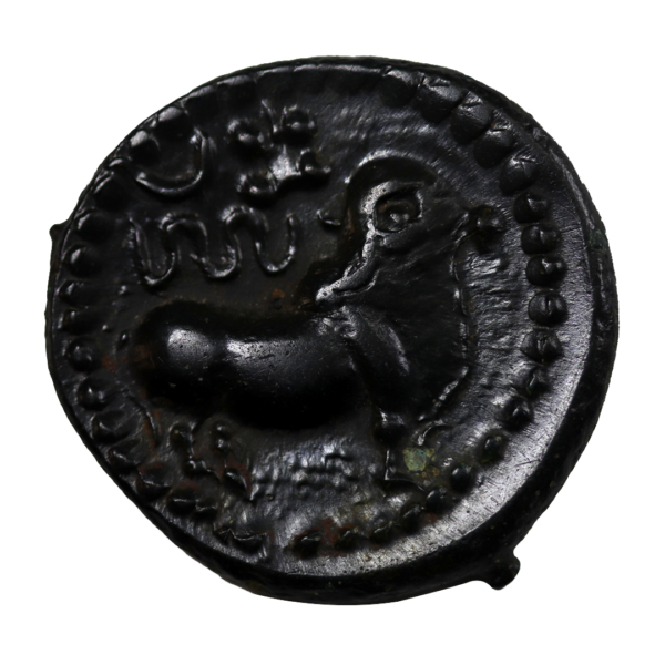 Pallava Coin