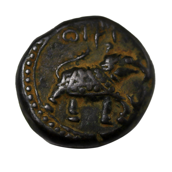 Calicut Mint 1215